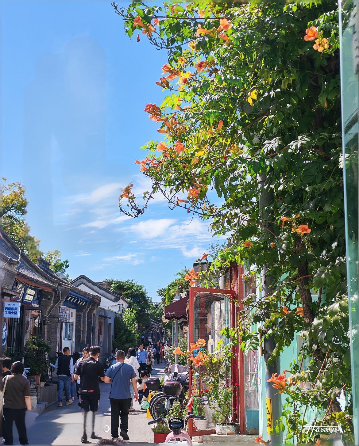 Wudaoying Hutong